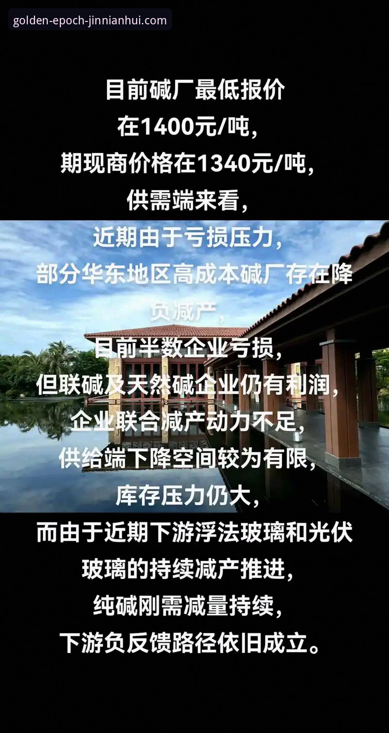 金年会官方推荐怎么样？2024最新版本v2.3.0上线实测与用户反馈深度解析