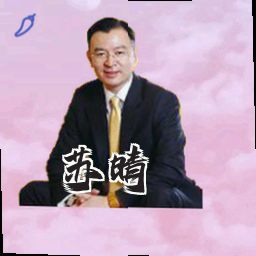 苏晴
